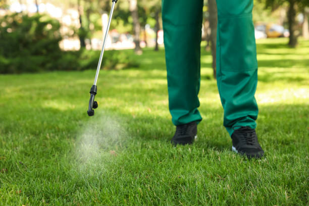 Best Termite Control Services  in Sunman, IN