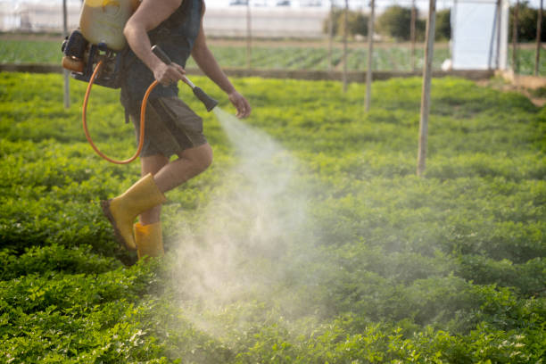 Professional Pest Control in Sunman, IN
