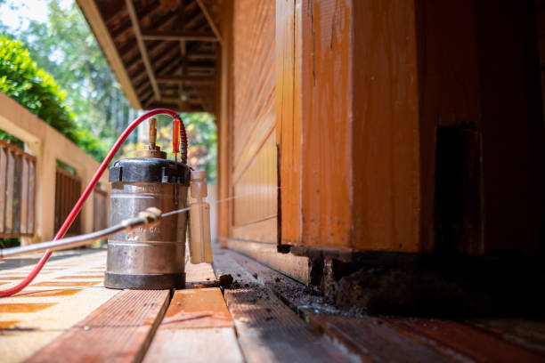 Best Mosquito Control Services  in Sunman, IN