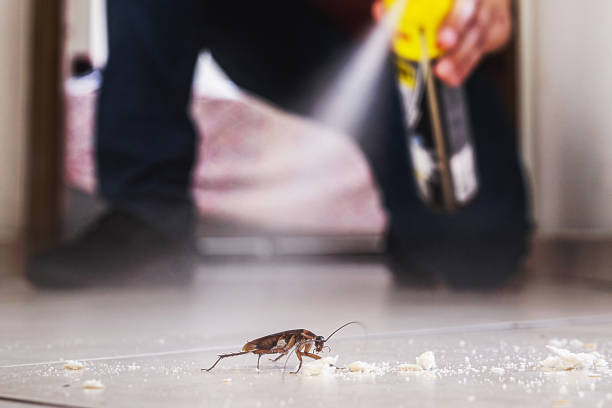 Best Pest Removal Services  in Sunman, IN