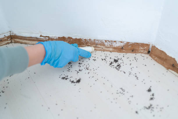 Best Commercial Pest Control Services  in Sunman, IN